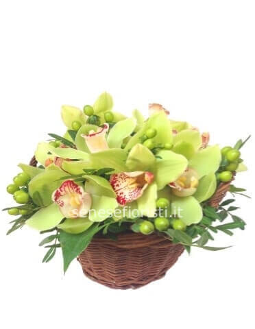 Cestino di orchidee