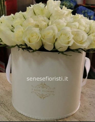 Flower box rose bianche